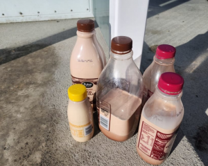 Every few days, flavoured milk is left on top of a particular pump at RD Petroleum's self-service...