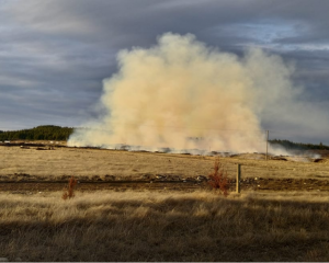 Evacuations were carried out in the Pukaki area, after flames spread across hectares of grass and...