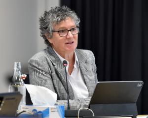 Sandy Graham speaks at a DCC meeting earlier in the year. PHOTO: GREGOR RICHARDSON