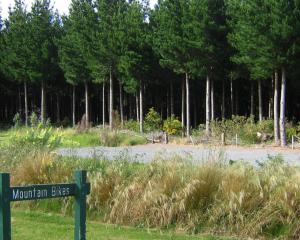 Sandy Point Domain. PHOTO: SUPPLIED