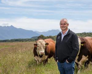 Beef + Lamb genetics specialist Jason Archer is encouraging farmers to nominate bulls for an...