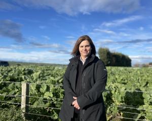 New Southern Dairy Hub general manager Andrea Dixon. PHOTO: SUPPLIED