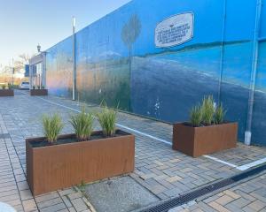A splash of colour and a touch of humour will transform the Vine St-King St alleyway in Temuka...