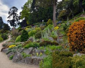 The rock garden at Dunedin Botanic Gardens. Photo: ODT files