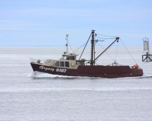 Willy Calder's Argosy returns from dredging in Foveaux Strait for the first day of the 2024...