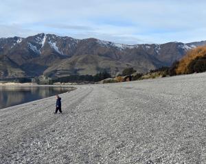 Playing on a very extended Lake Hawea shoreline are brothers (left) Rupert, 3, and Bruce, 6,...