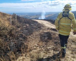 A fire torched 650 hectares of the Port Hills and forced about 100 households to evacuate in...