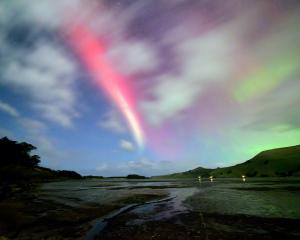 "Steve" is actually a plasma, not an aurora. Photo: Ian Griffin