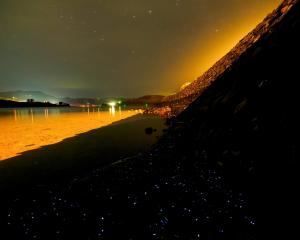 Luminous Nyctiphane krill, in the foreground, decorate the Otago Harbour shore. Photo: Ian Griffin