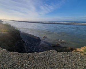 A state of emergency has been declared at Bluecliffs after three metres of land was lost, Photo: RNZ