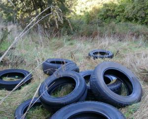 Some of the tyres dumped at one of two locations on Waipori Falls Rd earlier this winter, which...