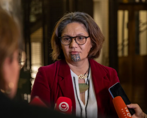 Darleen Tana is maintaining they were fairly elected as a list MP at the last election. Photo: RNZ