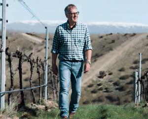 David Hall-Jones walks through his vineyard. PHOTO: SUPPLIED