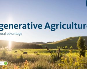 A Fonterra presentation boasting of 'regenerative agriculture' practices by its farmers is ...