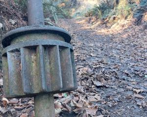 A prong earns its place as taonga. Photo: Clare Fraser