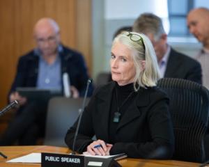 Wellington Water chief executive Tonia Haskell. Photo: RNZ 