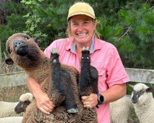 Central Otago vet Amy Watts goes above and beyond for her clients. PHOTO: SUPPLIED

