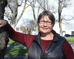 University of Otago botany associate professor Janice Lord looks at some native mistletoe growing...