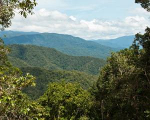 The pilot was killed after the helicopter landed in an isolated area of Papua in Indonesia. Photo...