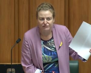 Dunedin Labour MP Rachel Brooking let out all her frustrations when addressing Parliament about...