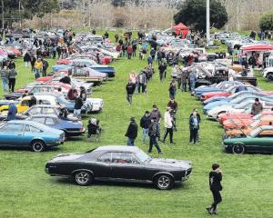 Cars lined up at Amberley Domain during last year’s Rock‘n’Wheels meet. Photo: File image