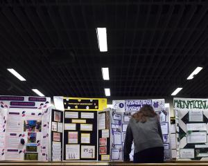 Judge Maddie Ford takes a close look at one of the entries to this year’s Aurora Energy Otago...