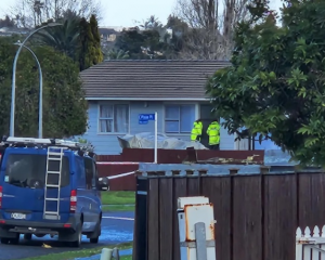 The shooting happened in the eastern suburb of Pakuranga Heights. Photo: RNZ 