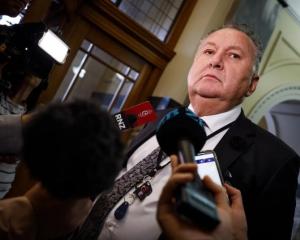 Associate Energy Minister Shane Jones. Photo: RNZ 