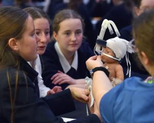 Otago Girls’ High School pupils Anika Doldge (left), Imogen Leaper and Jasmine Potter, all 14,...