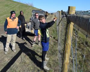 Watching labourer Cody Watt install barbwire on a fence near Waihola last week are (from left)...