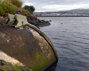 Stormwater outlet Andersons Bay Inlet. Photo: Stephen Jaquiery