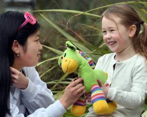 University of Otago second year medical student Hayley Wong, 19, examines "Giraffey" held in the...