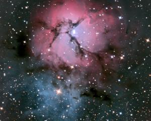 The Trifid Nebula is a vast reservoir of dust and gas. Photo: Ian Griffin