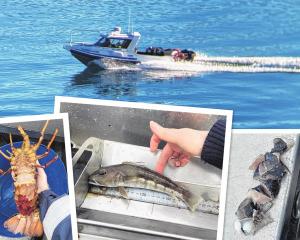 Ministry for Primary Industries (MPI) has been patrolling Dunedin’s coast. (Clockwise from top)...