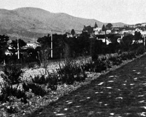 A newly-formed path in the upper Dunedin Botanic Garden. — Otago Witness, 7.10.1924 