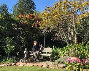 Rod Eales in her Upper Junction garden. PHOTOS: GILLIAN VINE