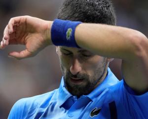 Olympic gold medallist Novak Djokovic said he "felt out of gas" after his US Open title defence...