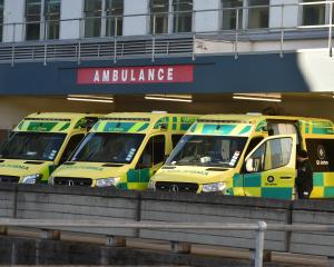 Ambulances queue outside Dunedin Hospital emergency department. PHOTO: GREGOR RICHARDSON