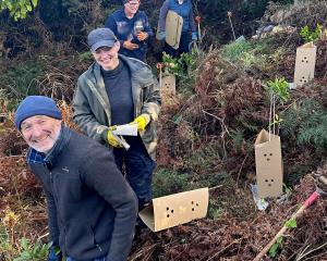 Papatowai conservationists on a forest planting working-bee last month (from left) Blair...