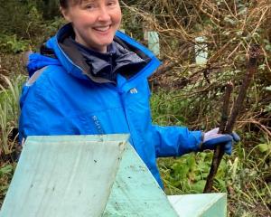 Kate Mathers, of Christchurch, prepares some plant protectors during a working bee at the...