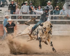 Photographer Susan Church’s shot of a cowboy at the Outram Rodeo earlier this year won her the...