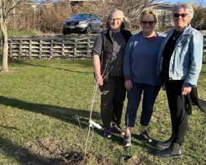 Proud grandmothers (from left) Ruth Arnott, Jane Scott and Bernie Lepper, all of Alexandra,...