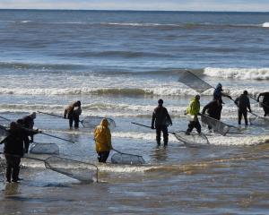 Keen Kakanui River whitebaiters line up at the mouth yesterday. PHOTO: BRENDON MCMAHON