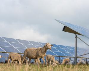 Aotearoa is blessed with abundant hydro power, wind, sunshine, and deep geothermal heat. Photo:...