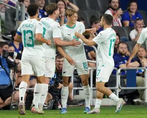 Ben Waine of the All Whites celebrates his late equaliser against the USA in Ohio. Photo: Getty...