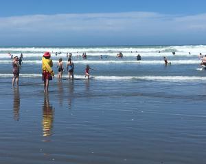 Paid life guards patrol the Waikuku, Pegasus and Woodend beaches during December and January....