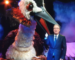 John Oliver's campaign for the pūteketeke raised global awareness of Aotearoa birds. Photo:...