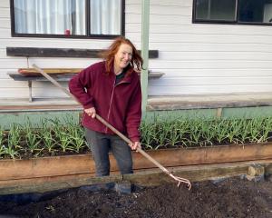 Waikawa gardener Judy-diane tends to her garden, where she hosts free gardening workshops. PHOTO:...