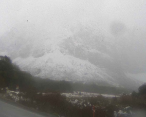 The Milford Road area late this afternoon. PHOTO: MILFORD ROAD ALLIANCE