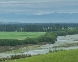 The Ōreti River in Southland. Photo: Wiki Commons 